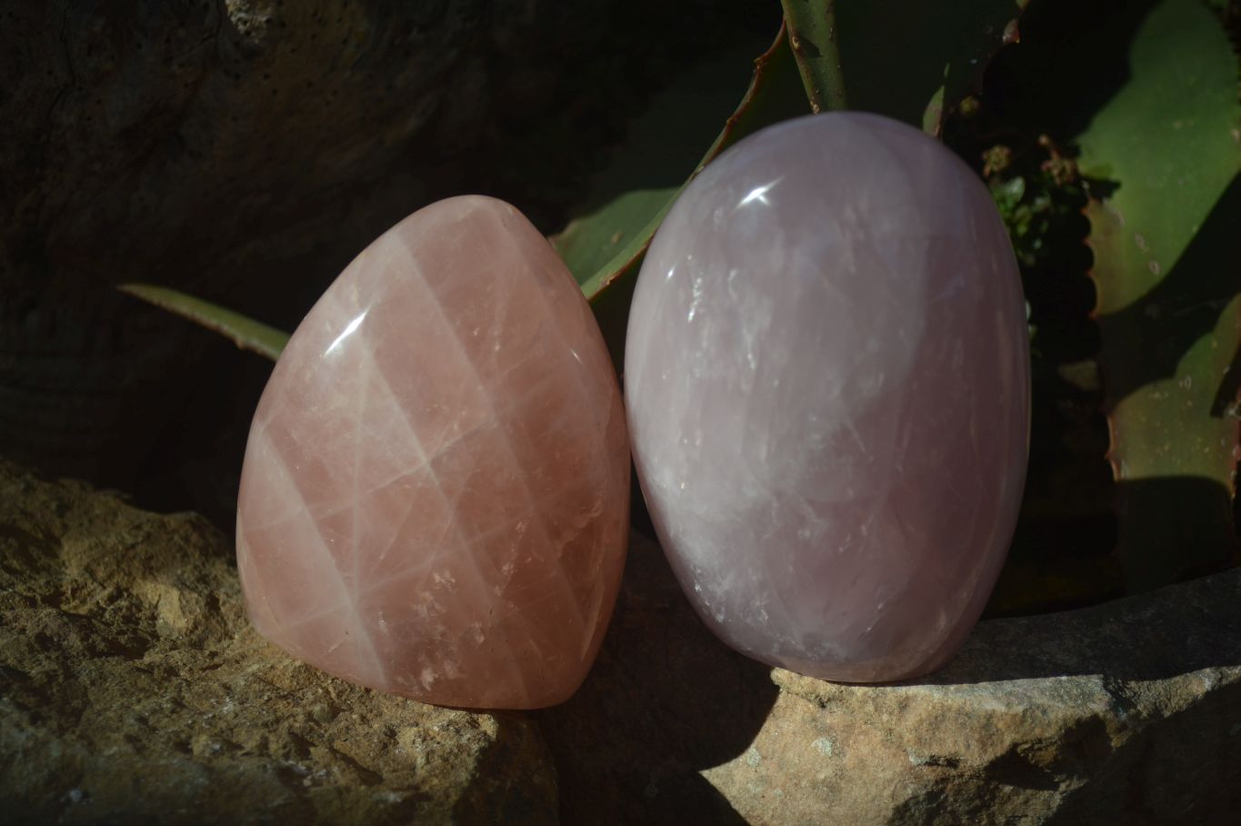 Polished Rose Quartz Standing Free Forms x 2 From Antsirabe, Madagascar - Toprock Gemstones and Minerals 