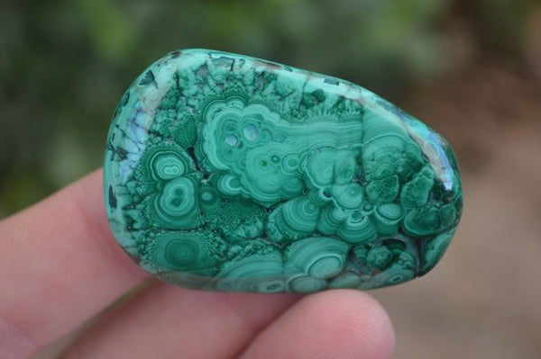 Polished Flower Banded Malachite Free Forms  x 24 From Congo