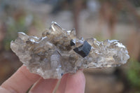 Natural Schorl Black Tourmaline Specimens x 6 From Erongo, Namibia - Toprock Gemstones and Minerals 
