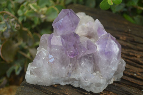 Natural Jacaranda Amethyst Clusters  x 2 From Zambia - Toprock Gemstones and Minerals 