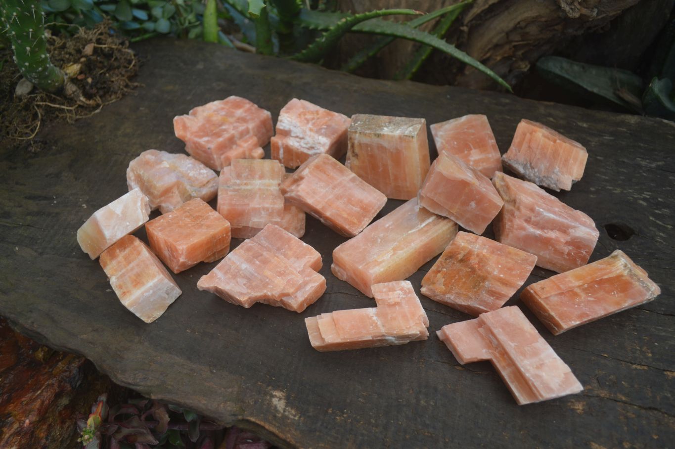 Natural New Sunset Orange Calcite Specimens  x 24 From Namibia - Toprock Gemstones and Minerals 