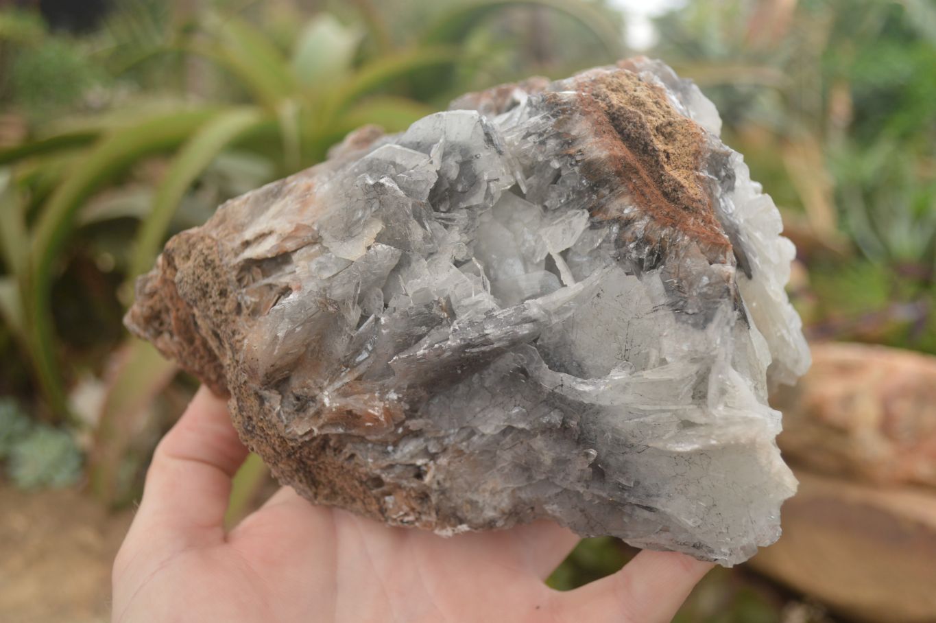 Natural Extra Large Bladed Barite Specimen  x 1 From Congo - Toprock Gemstones and Minerals 