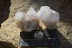 Natural White Cactus Flower Spirit Quartz Specimens x 12 From Boekenhouthoek, South Africa - Toprock Gemstones and Minerals 
