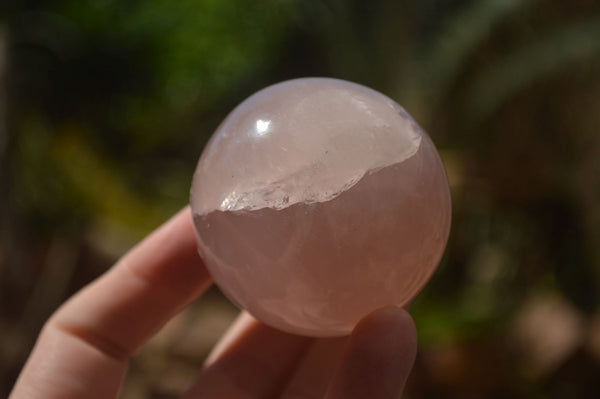Polished Pink Rose Quartz Spheres  x 6 From Ambatondrazaka, Madagascar - TopRock