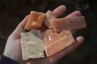 Natural New Sunset Orange Calcite Specimens  x 24 From Namibia - Toprock Gemstones and Minerals 