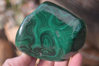 Polished Malachite Free Form x 1 From Kolwezi, Congo - Toprock Gemstones and Minerals 