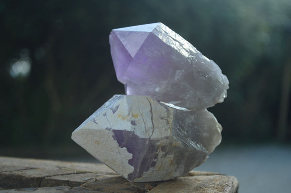 Natural Single Jacaranda Amethyst Crystals  x 6 From Mumbwa, Zambia