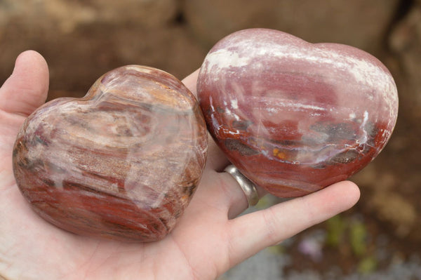Polished Petrified Red Podocarpus Wood Hearts  x 3 From Mahajanga, Madagascar - TopRock