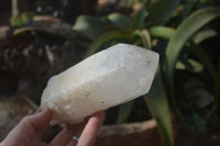 Polished Large Quartz Crystals x 3 From Madagascar - Toprock Gemstones and Minerals 