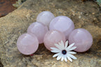 Polished Pink Rose Quartz Spheres  x 6 From Ambatondrazaka, Madagascar - TopRock