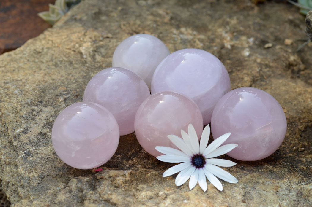Polished Pink Rose Quartz Spheres  x 6 From Ambatondrazaka, Madagascar - TopRock