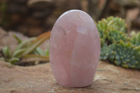 Polished Pink Rose Quartz Standing Free Forms x 2 From Ambatondrazaka, Madagascar - TopRock