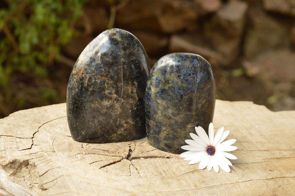 Polished Pair Of Rare Iolite / Water Sapphire Standing Free Forms  x 2 From Madagascar - TopRock