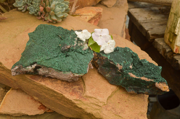 Natural Crystalline Malachite Specimens  x 2 From Tenke Fungurume, Congo - TopRock
