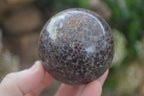 Polished Pyrope Red Garnet Matrix Spheres  x 6 From Madagascar - Toprock Gemstones and Minerals 