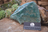 Polished On One Side Emerald Mtorolite Plates x 2 From Mutorashanga, Zimbabwe - Toprock Gemstones and Minerals 