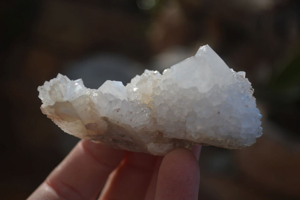 Natural White Cactus Flower Spirit Quartz Specimens x 12 From Boekenhouthoek, South Africa - Toprock Gemstones and Minerals 