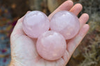 Polished Pink Rose Quartz Spheres  x 6 From Ambatondrazaka, Madagascar - TopRock