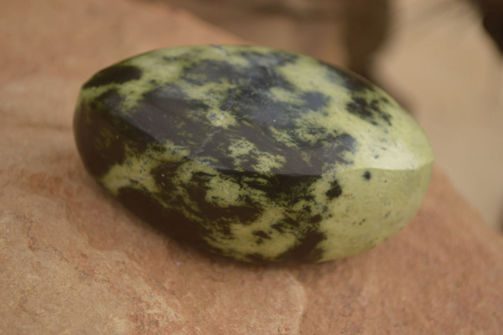 Polished Leopard Stone Free Forms  x 6 From Zimbabwe - Toprock Gemstones and Minerals 