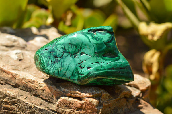 Polished Malachite Free Forms  x 2 From Congo - TopRock