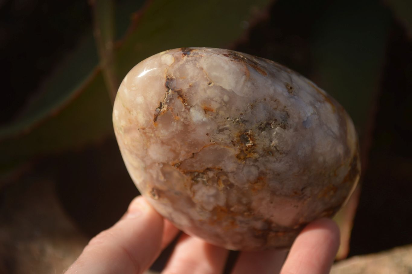 Polished  Ocean Flower Agate Standing Free Forms  x 3 From Madagascar - Toprock Gemstones and Minerals 