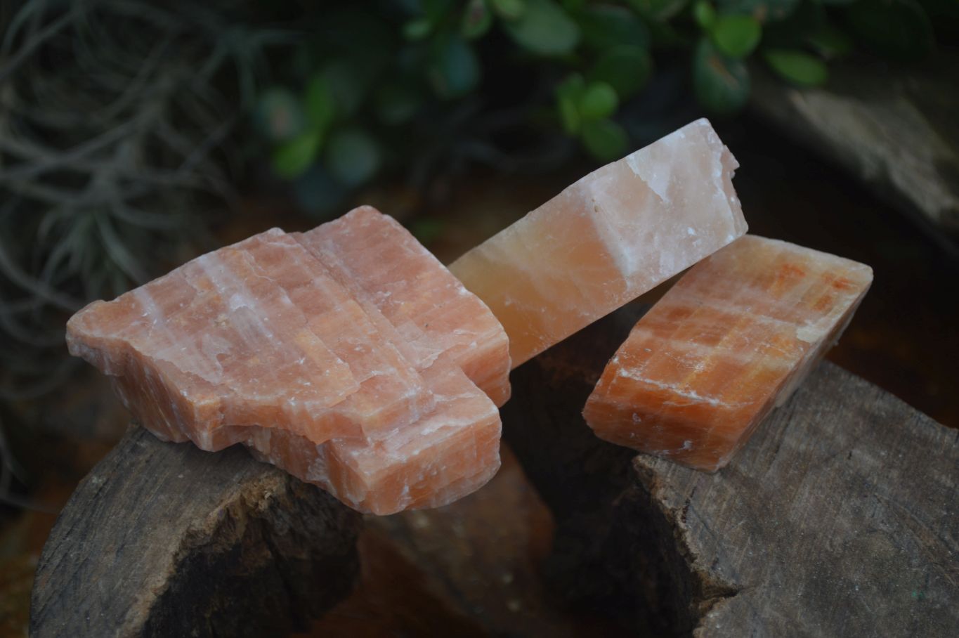 Natural New Sunset Orange Calcite Specimens  x 24 From Namibia - Toprock Gemstones and Minerals 