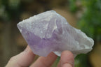 Natural Jacaranda Amethyst Clusters  x 12 From Zambia - Toprock Gemstones and Minerals 