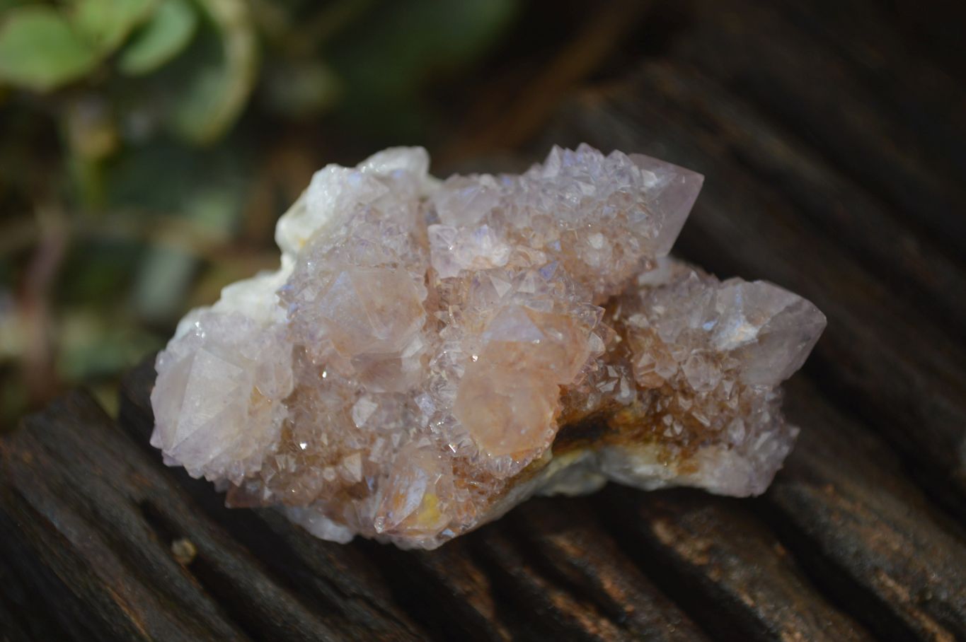 Natural Pale Lilac Spirit Quartz Clusters x 12 From Boekenhouthoek, South Africa - Toprock Gemstones and Minerals 