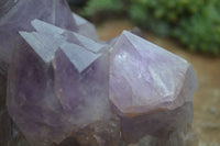 Natural Jacaranda Amethyst Cluster x 1 From Mumbwa, Zambia - TopRock