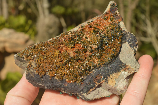 Natural Rare Copper Phosphate Libethenite On Dolomite Specimens  x 2 From Shituru, Congo - TopRock