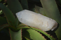 Polished Large Quartz Crystals x 3 From Madagascar - Toprock Gemstones and Minerals 