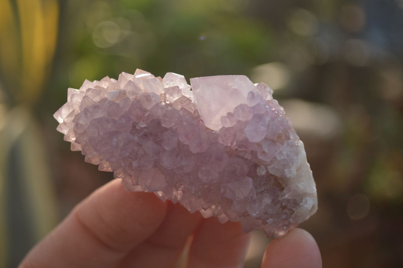 Natural Pale Amethyst Spirit Quartz Clusters x 20 From Boekenhouthoek, South Africa - Toprock Gemstones and Minerals 
