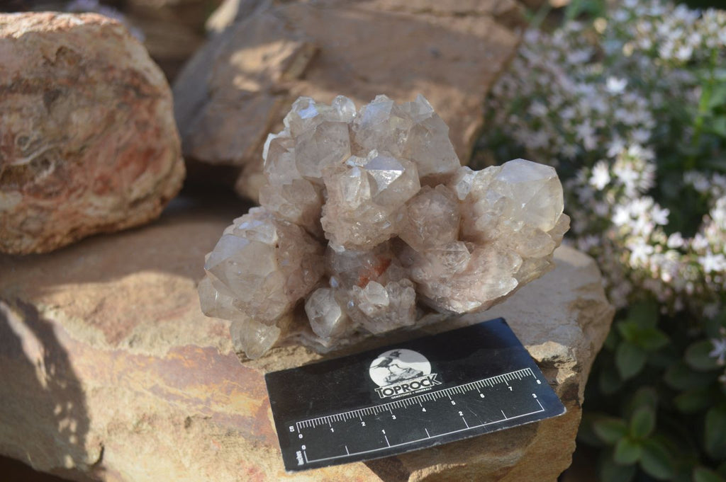 Natural Cascading Smokey Phantom Quartz Clusters x 2 From Luena, Congo - Toprock Gemstones and Minerals 