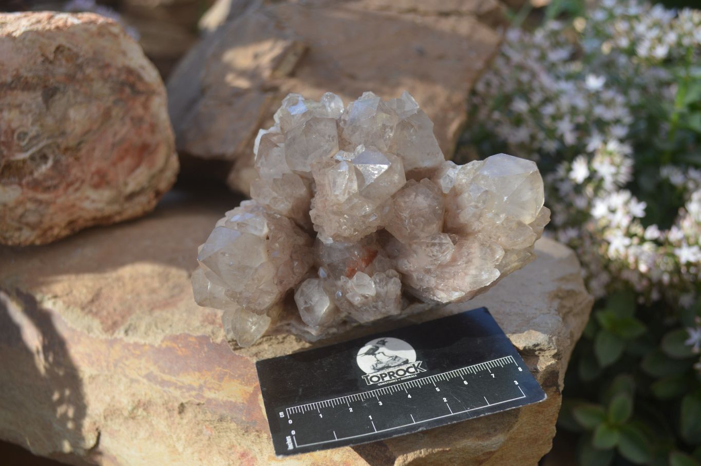 Natural Cascading Smokey Phantom Quartz Clusters x 2 From Luena, Congo - Toprock Gemstones and Minerals 