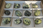 Polished Leopard Stone Palm Stones  x 12 From Zimbabwe - Toprock Gemstones and Minerals 