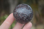 Polished Pyrope Red Garnet Matrix Spheres  x 6 From Madagascar - Toprock Gemstones and Minerals 