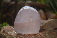 Polished Pink Rose Quartz Standing Free Forms x 2 From Ambatondrazaka, Madagascar - TopRock