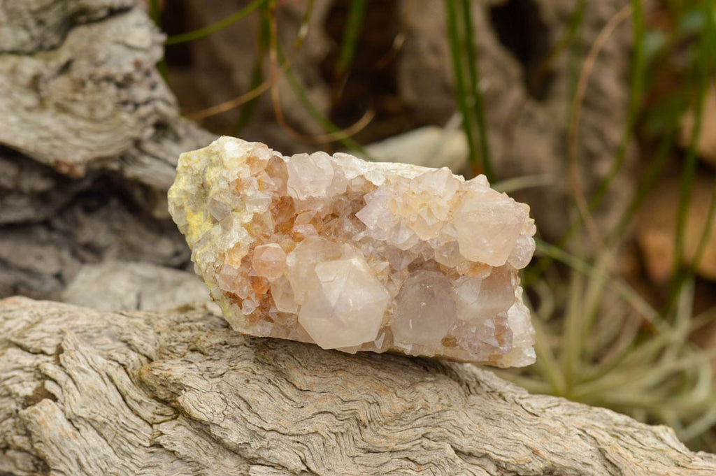 Natural Drusi Coated Spirit Cactus Quartz Clusters  x 4 From Boekenhouthoek, South Africa - TopRock