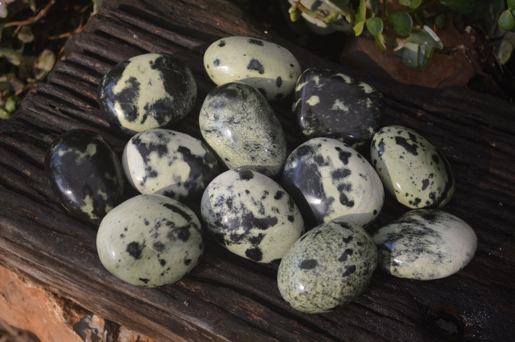 Polished Leopard Stone Palm Stones  x 12 From Zimbabwe - Toprock Gemstones and Minerals 