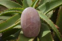 Polished Pink Rose Quartz Standing Free Forms x 2 From Ambatondrazaka, Madagascar - TopRock
