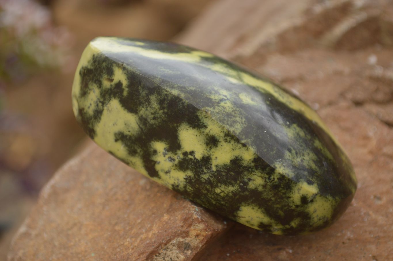 Polished Leopard Stone Free Forms  x 6 From Zimbabwe - Toprock Gemstones and Minerals 