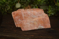 Natural Extra Large Sunset Orange Calcite Specimen x 1 From Spitzkop, Namibia - Toprock Gemstones and Minerals 