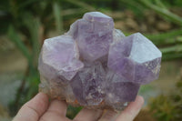 Natural Jacaranda Amethyst Cluster x 1 From Mumbwa, Zambia - TopRock