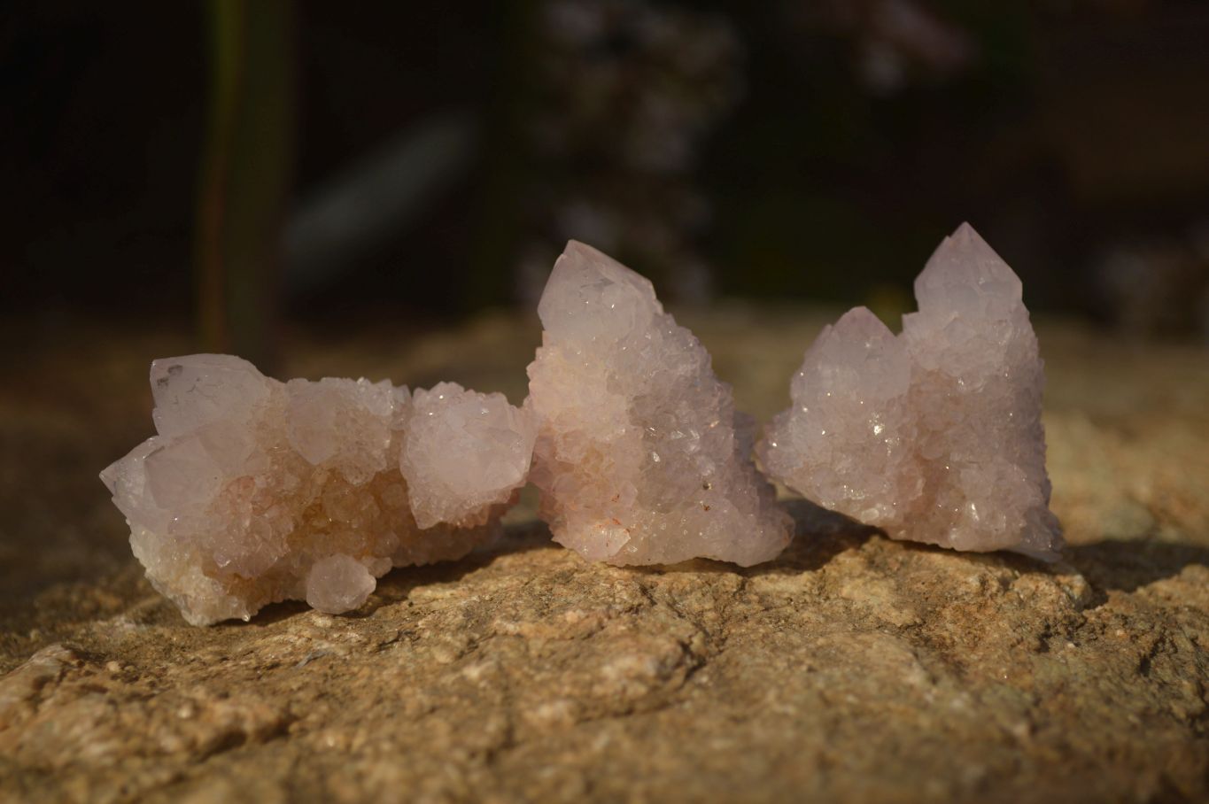 Natural Pale Amethyst Spirit Quartz Clusters x 20 From Boekenhouthoek, South Africa - Toprock Gemstones and Minerals 