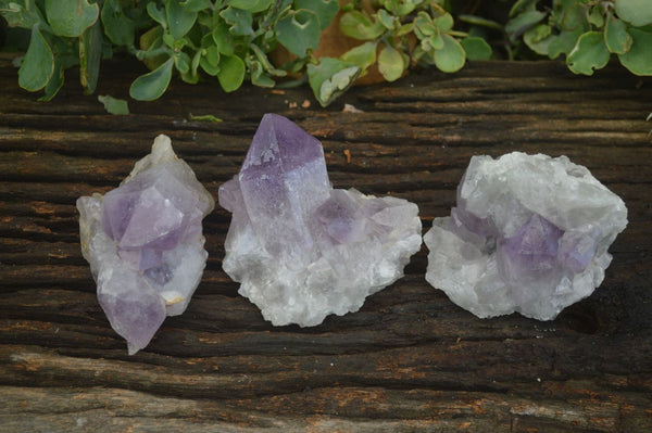 Natural Jacaranda Amethyst Clusters  x 3 From Mumbwa, Zambia - Toprock Gemstones and Minerals 