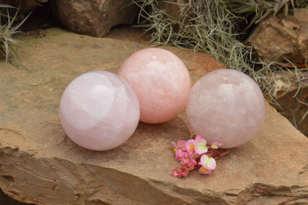 Polished Pink Rose Quartz Spheres  x 3 From Madagascar - TopRock