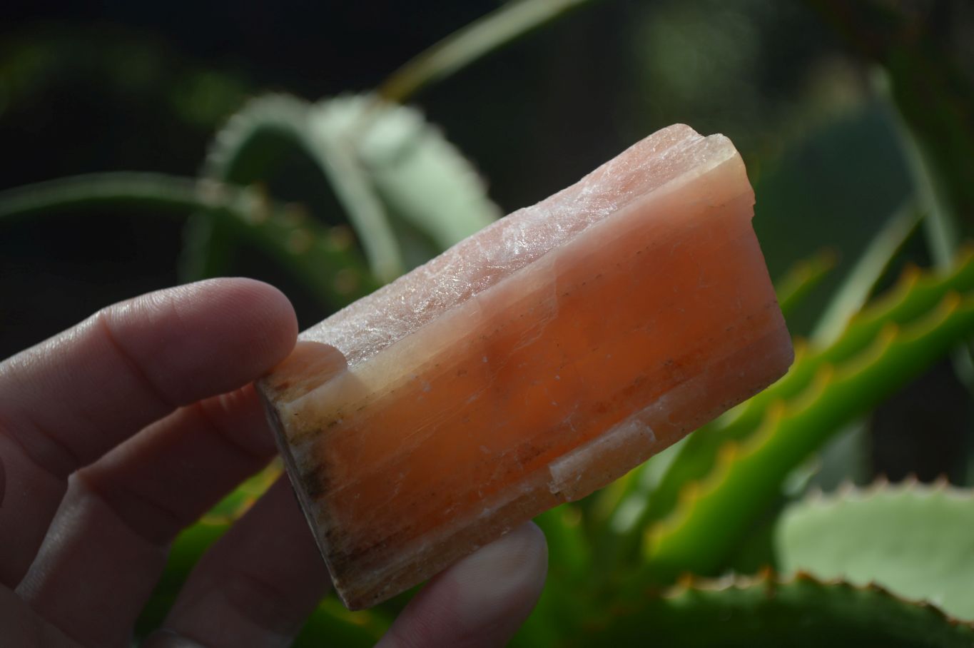Natural New Sunset Orange Calcite Specimens  x 24 From Namibia - Toprock Gemstones and Minerals 