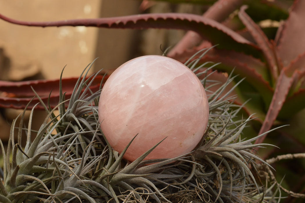 Polished Pink Rose Quartz Spheres  x 3 From Madagascar - TopRock