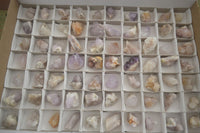 Natural Mixed Mini Spirit Quartz Crystals  x 70 From Boekenhouthoek, South Africa - Toprock Gemstones and Minerals 
