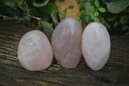 Polished Gemmy Pink Rose Quartz Standing Free Forms x 3 From Antsirabe, Madagascar - Toprock Gemstones and Minerals 
